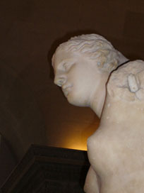 venusmilo